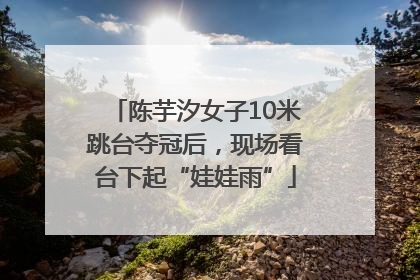 陈芋汐女子10米跳台夺冠后，现场看台下起“娃娃雨”